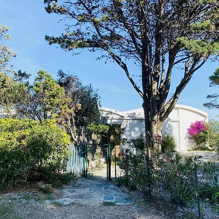 Hébergement de vacances Maison Lumio, 3 Pièces, 4 Personnes - Fr-1-63-313