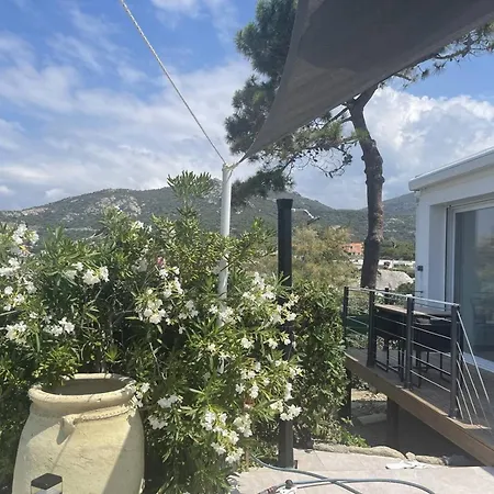 Maison Lumio, 3 Pièces, 4 Personnes - Fr-1-63-313 * Lumio (Corsica)